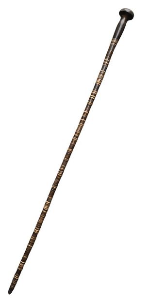 Walking cane with horn handle and horn disk...
