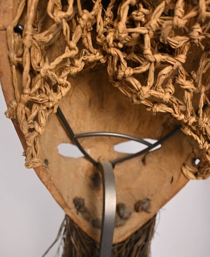 Masque zoomorphe Salampasu, RD Congo, XXe...