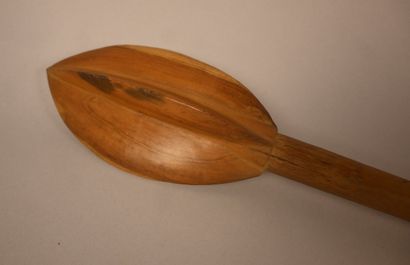 Zulu – Afrique du Sud – knobkerrie en bois...