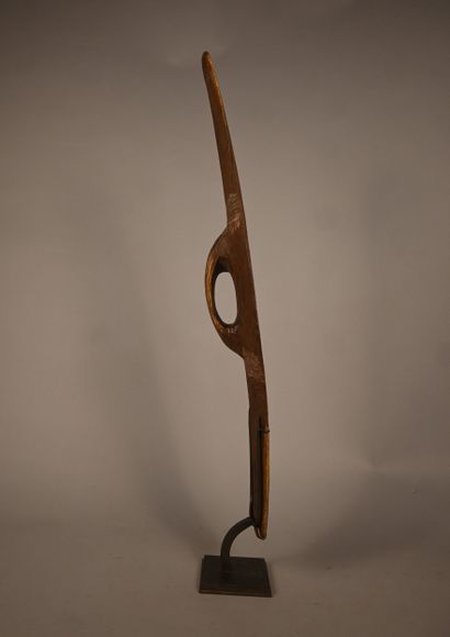Bouclier aborigène sculpté à décor linéaire...