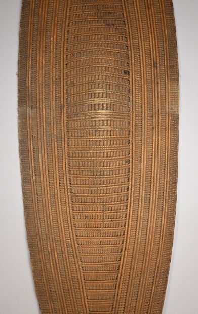 Lobala shield in raffia - DR Congo - early...