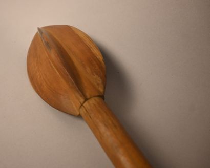 Zulu – Afrique du Sud – knobkerrie en bois...
