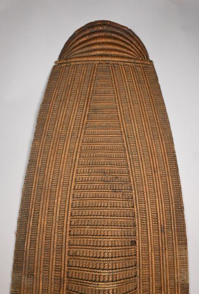Lobala shield in raffia - DR Congo - early...