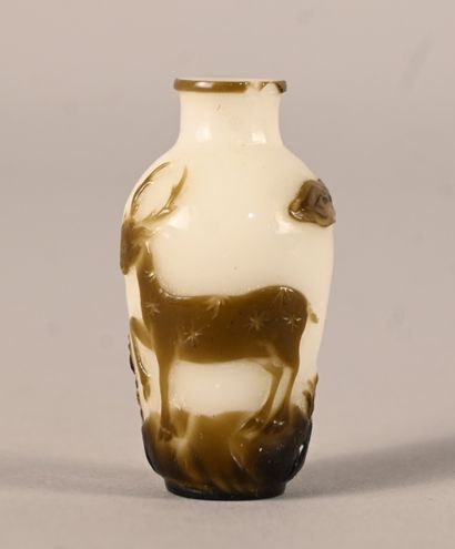 Snuff bottle in 