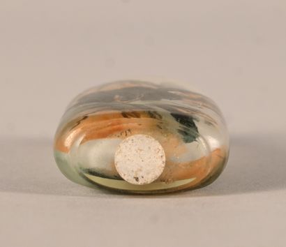 Snuff bottle in glass painted on the inside...