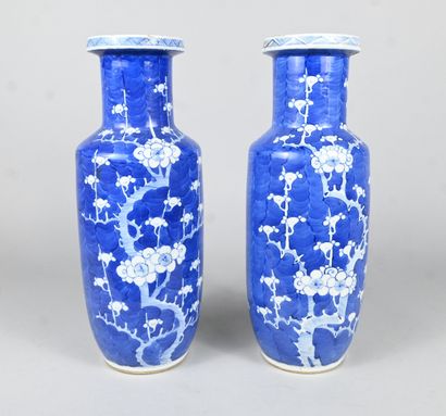 Paire de vases en porcelaine bleu et blanc,...