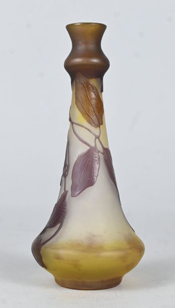 Émile Gallé, cameo glass vase with floral...