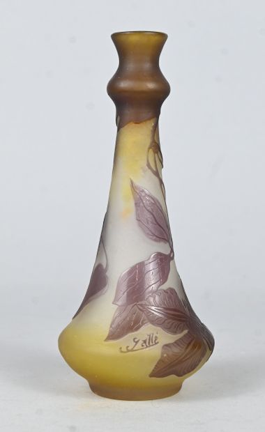 Émile Gallé, cameo glass vase with floral...