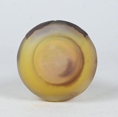 Émile Gallé, cameo glass vase with floral...