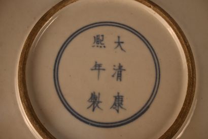 Large porcelain dish with fish decoration...