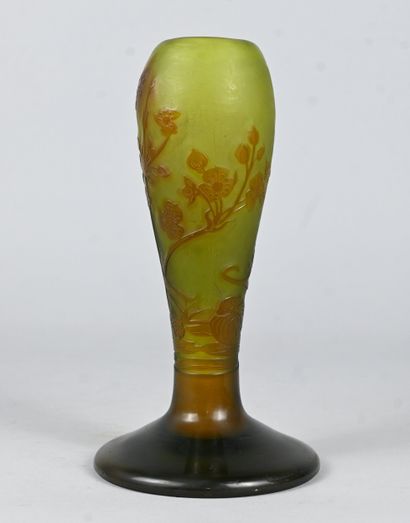 Émile Gallé, cameo glass vase with floral...
