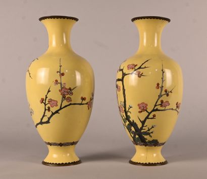 Pair of Japanese cloisonné vases, Meiji period
Pair...