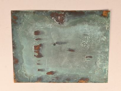 Still life on copper plate 19th century grapes...