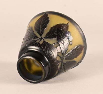 Émile Gallé – Vase en verre multicouche à...