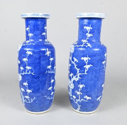 Paire de vases en porcelaine bleu et blanc,...