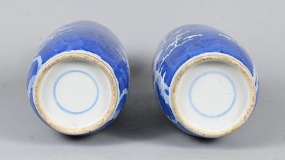 Paire de vases en porcelaine bleu et blanc,...