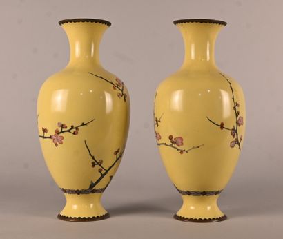 Pair of Japanese cloisonné vases, Meiji period
Pair...