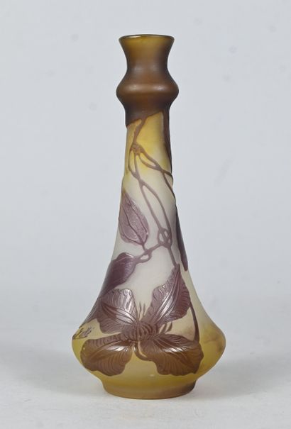 Émile Gallé, cameo glass vase with floral...