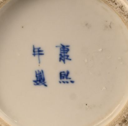 Blue and white porcelain vase, China, apocryphal...