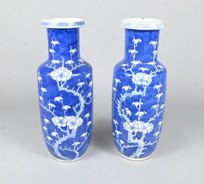Paire de vases en porcelaine bleu et blanc,...