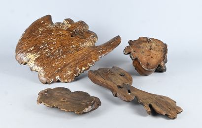 Set of four carved wood angel heads, 18th-19th...