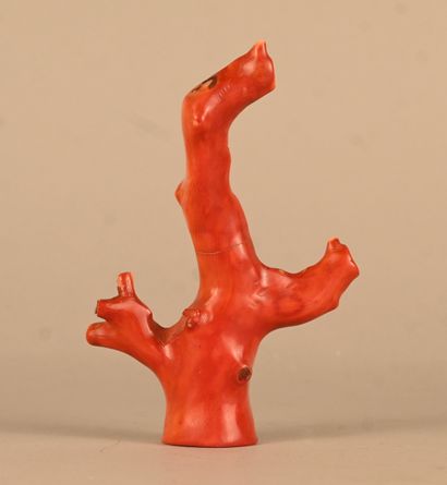 Figure chinoise en corail rouge sculpté –...