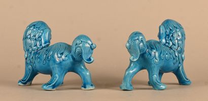 Pair of Chinese guardian lions in turquoise...