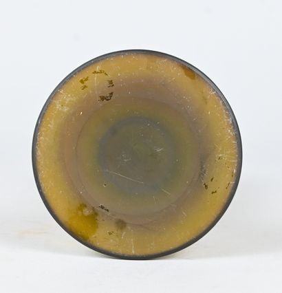 Émile Gallé, cameo glass vase with floral...
