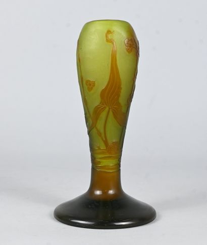 Émile Gallé, cameo glass vase with floral...