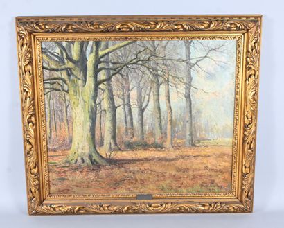 Franz Courtens (1854-1943) - Forest landscape,...