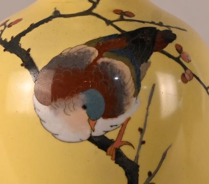 Pair of Japanese cloisonné vases, Meiji period
Pair...