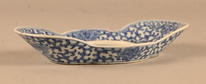 Blue and white porcelain brush rinse with...