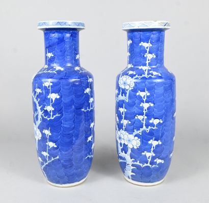 Paire de vases en porcelaine bleu et blanc,...