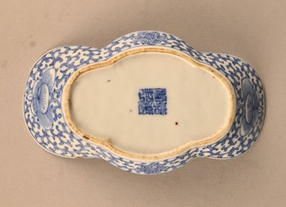 Blue and white porcelain brush rinse with...