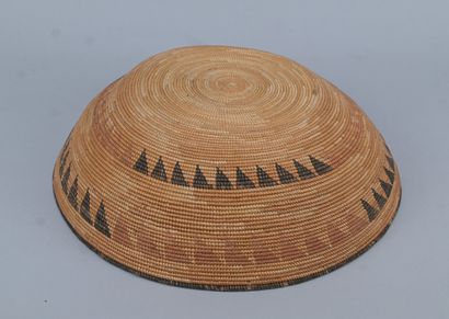 Large Tutsi 