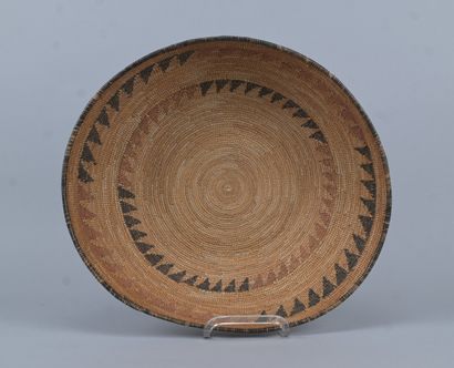 Large Tutsi 