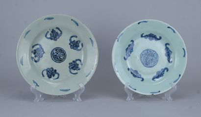 Paire d’assiettes en porcelaine du Vietnam...