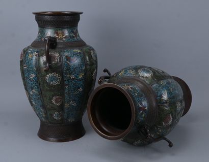 Paire de vases chinois en cloisonné à décor...