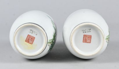 Paire de vases en porcelaine chinoise, période...