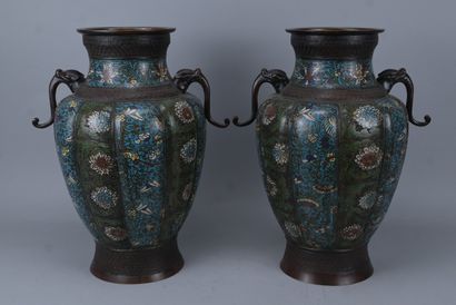 Paire de vases chinois en cloisonné à décor...