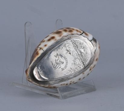 Tabatière écossaise en coquillage de porcelaine...