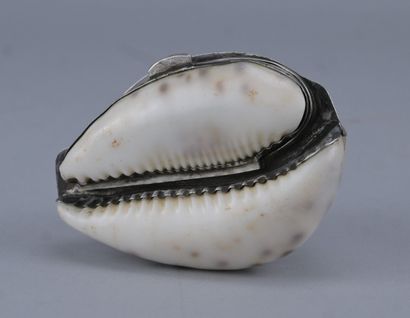 Tabatière en coquillage de porcelaine (Cypraea...