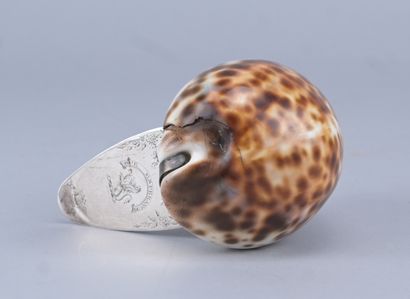 Tabatière écossaise en coquillage de porcelaine...