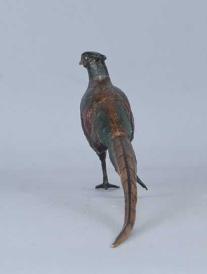 Faisan en bronze polychrome signé Bergmans,...