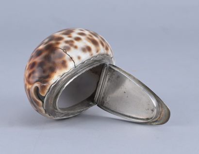 Tabatière écossaise en coquillage de porcelaine...