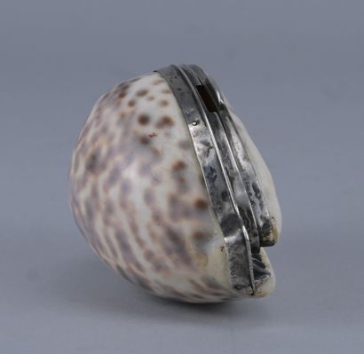 Tabatière en coquillage de porcelaine (Cypraea...