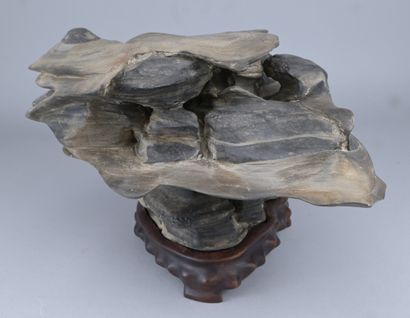 Gongshi – scholar's rock – China – Qing Dynasty

Chinese...