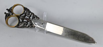 Large pair of promotional hair salon scissors,...