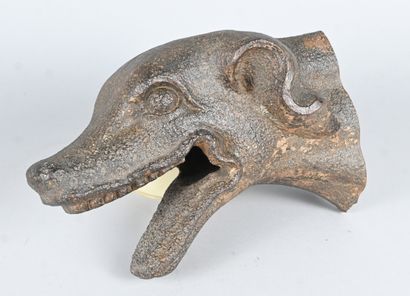 Cast-iron dog head, gargoyle or downspout...