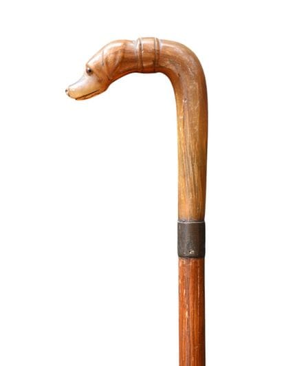Walking stick with dog-head carved horn handle,...